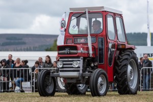 KEITH SHOW 2018 IBI -8227