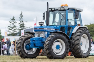 KEITH SHOW 2018 IBI -8243