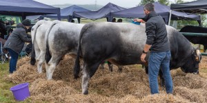 KEITH SHOW 2018 IBI -8360