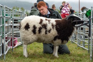 KEITH SHOW 2018 IBI -8386