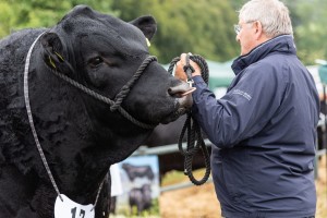 KEITH SHOW 2018 IBI -8437