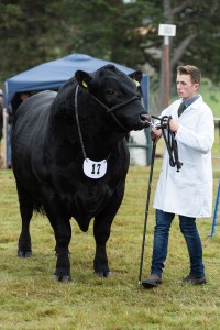 KEITH SHOW 2018 IBI -8443