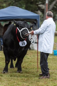 KEITH SHOW 2018 IBI -8445