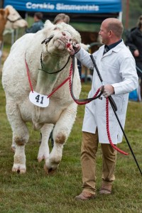 KEITH SHOW 2018 IBI -8455