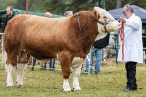 KEITH SHOW 2018 IBI -8465