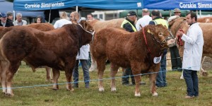 KEITH SHOW 2018 IBI -8470