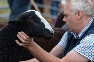 KEITH SHOW 2018 IBI -8527