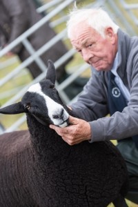 KEITH SHOW 2018 IBI -8552