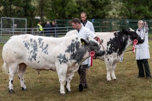 KEITH SHOW 2018 IBI -8558