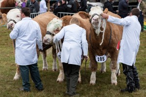 KEITH SHOW 2018 IBI -8562