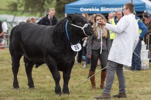 KEITH SHOW 2018 IBI -8640