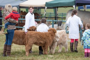 KEITH SHOW 2018 IBI -8644