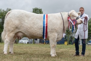 KEITH SHOW 2018 IBI -8756