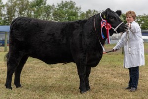 KEITH SHOW 2018 IBI -8768
