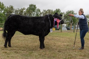 KEITH SHOW 2018 IBI -8770