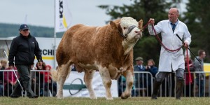 KEITH SHOW 2018 IBI -8816