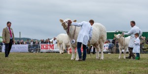 KEITH SHOW 2018 IBI -8826