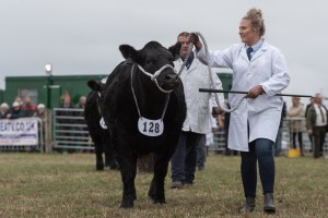 KEITH SHOW 2018 IBI -8840