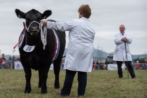 KEITH SHOW 2018 IBI -8867