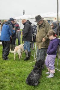 KEITH SHOW 2019 11TH -12TH AUG  IBI KEITH  -157