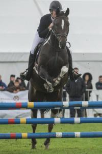 KEITH SHOW 2019 11TH -12TH AUG  IBI KEITH  -176