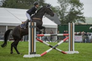 KEITH SHOW 2019 11TH -12TH AUG  IBI KEITH  -194