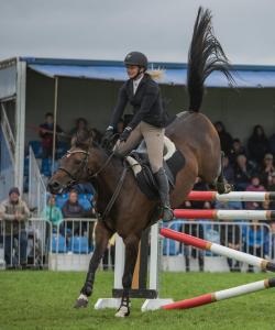 KEITH SHOW 2019 11TH -12TH AUG  IBI KEITH  -213