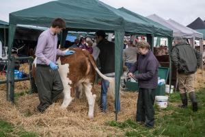 KEITH SHOW 2019 11TH -12TH AUG  IBI KEITH  -261