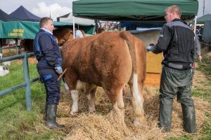 KEITH SHOW 2019 11TH -12TH AUG  IBI KEITH  -263