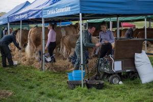 KEITH SHOW 2019 11TH -12TH AUG  IBI KEITH  -265