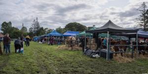 KEITH SHOW 2019 11TH -12TH AUG  IBI KEITH  -266