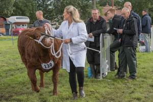 KEITH SHOW 2019 11TH -12TH AUG  IBI KEITH  -269
