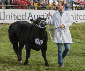 KEITH SHOW 2019 11TH -12TH AUG  IBI KEITH  -270