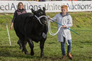 KEITH SHOW 2019 11TH -12TH AUG  IBI KEITH  -271