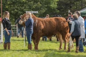 KEITH SHOW 2019 11TH -12TH AUG  IBI KEITH  -272