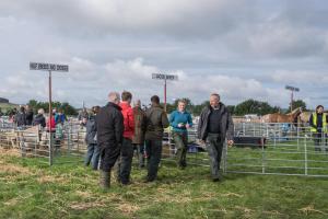 KEITH SHOW 2019 11TH -12TH AUG  IBI KEITH  -276