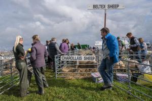 KEITH SHOW 2019 11TH -12TH AUG  IBI KEITH  -279