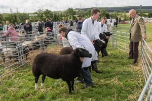 KEITH SHOW 2019 11TH -12TH AUG  IBI KEITH  -282