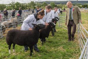 KEITH SHOW 2019 11TH -12TH AUG  IBI KEITH  -283