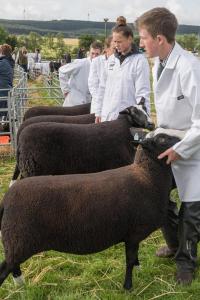 KEITH SHOW 2019 11TH -12TH AUG  IBI KEITH  -284
