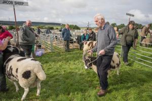KEITH SHOW 2019 11TH -12TH AUG  IBI KEITH  -286