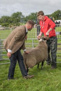 KEITH SHOW 2019 11TH -12TH AUG  IBI KEITH  -287