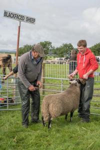 KEITH SHOW 2019 11TH -12TH AUG  IBI KEITH  -288