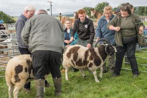 KEITH SHOW 2019 11TH -12TH AUG  IBI KEITH  -289