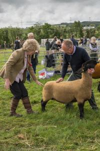 KEITH SHOW 2019 11TH -12TH AUG  IBI KEITH  -292