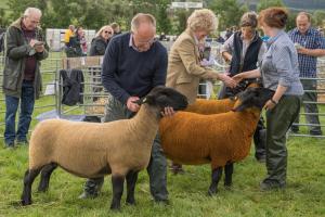 KEITH SHOW 2019 11TH -12TH AUG  IBI KEITH  -293