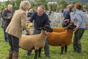 KEITH SHOW 2019 11TH -12TH AUG  IBI KEITH  -294