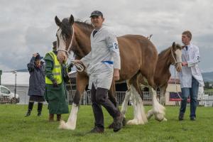 KEITH SHOW 2019 11TH -12TH AUG  IBI KEITH  -297