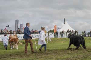 KEITH SHOW 2019 11TH -12TH AUG  IBI KEITH  -301