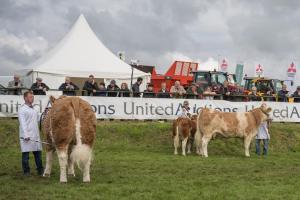 KEITH SHOW 2019 11TH -12TH AUG  IBI KEITH  -302